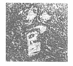 涞源县境内长城「官」字款刻字砖.png