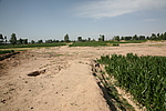 ʧ2
