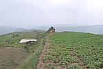 常崾岘11号敌台
