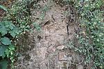 秦王村长城4段