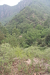 小盘石东长城2段