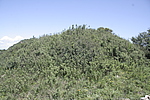 胡山庄烽火台05号