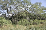 张寺沟烽火台04号