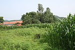 柴河堡