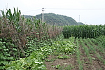 松山堡