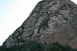 ľ峤4