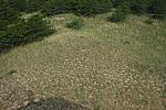 堡村烽火台
